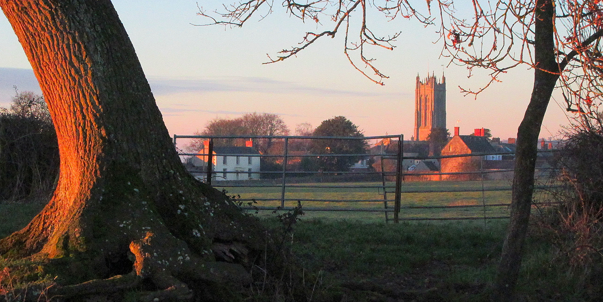 tree gate church